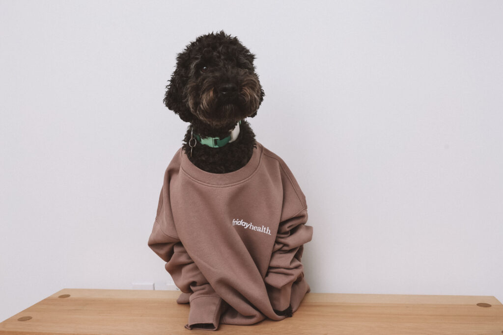 A black dog wearing an oversized brown sweatshirt featuring the logo "Friday Health" sits on a wooden surface against a plain white background.