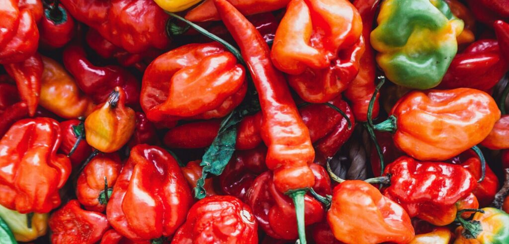 A vibrant assortment of colorful peppers piled together, featuring shades of red, orange, yellow, and green, showcasing a variety of shapes and sizes, celebrating the freshness and diversity of produce that can contribute to Friday Health initiatives.